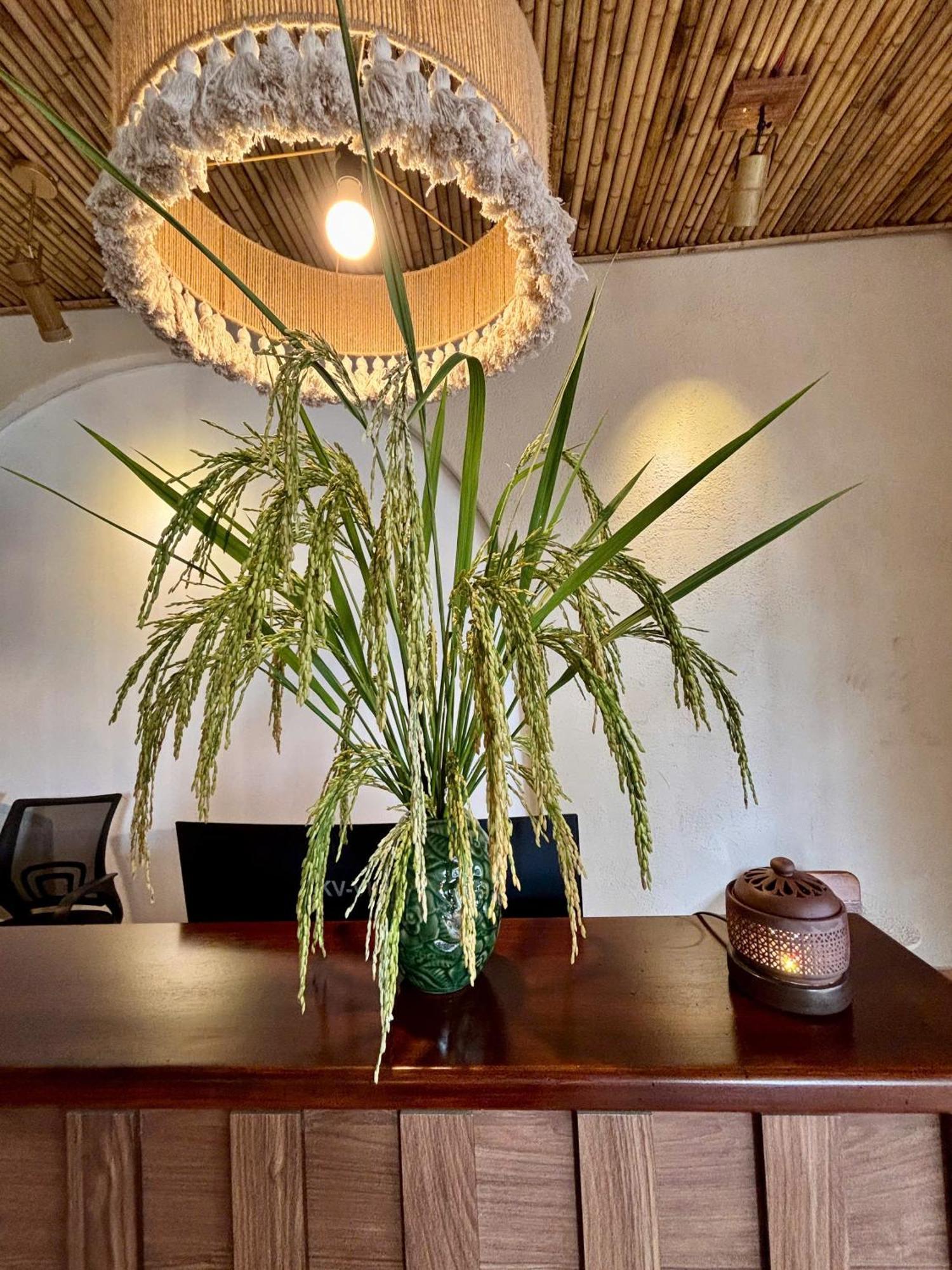 Truong Giang Boutique Hotel Lang Mon Extérieur photo